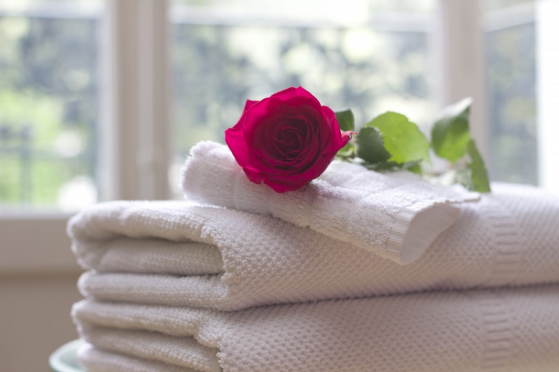 hotel-ROQUEBRUNE SUR ARGENS-min_towel_rose_clean_care_salon_spa_white_bath-731641